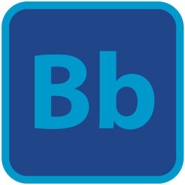 Bluebrads Store